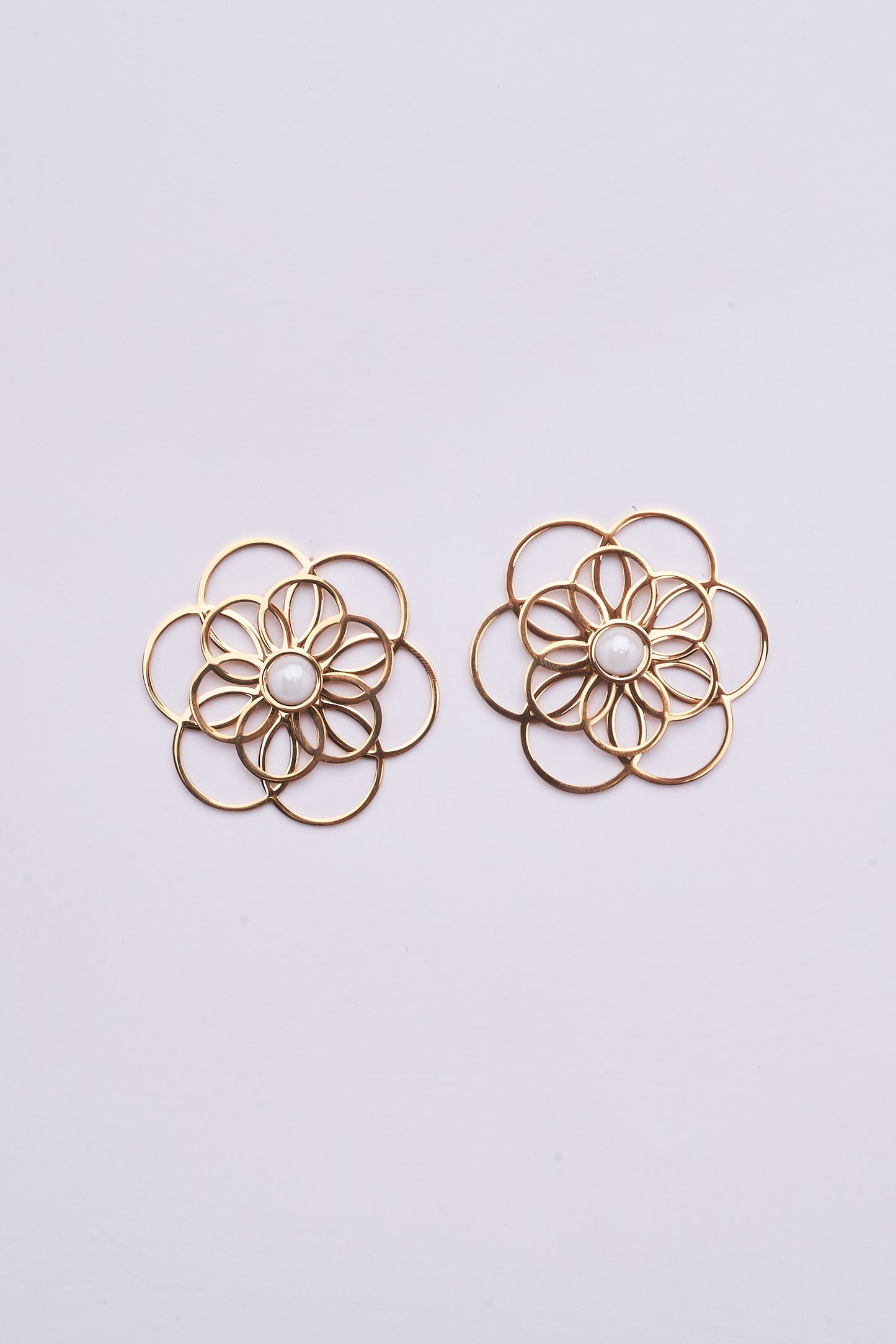 Stainless Steel Earrings 122E1543