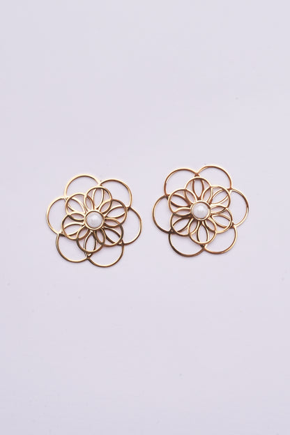 Stainless Steel Earrings 122E1543