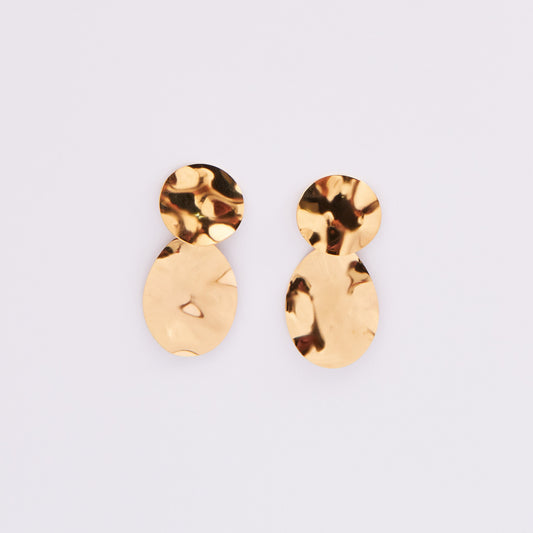 Stainless Steel Earrings E405G