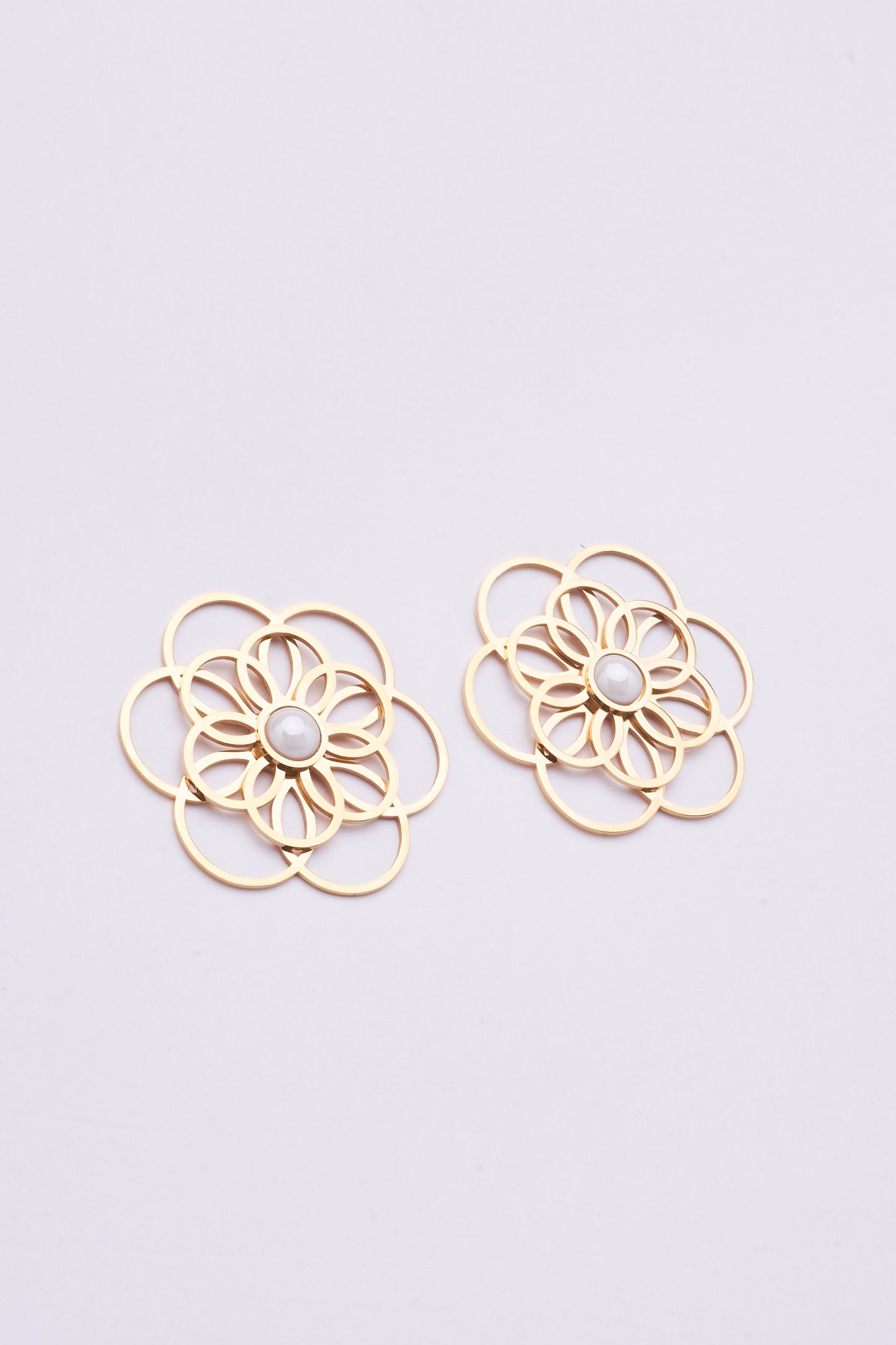 Stainless Steel Earrings 122E1543
