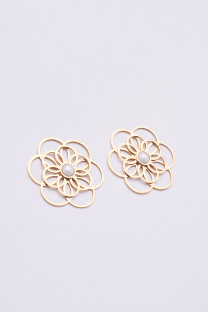 Stainless Steel Earrings 122E1543