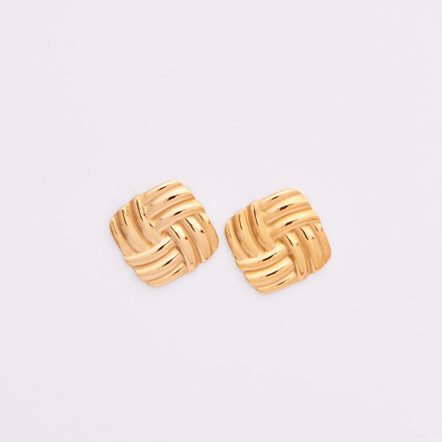 Stainless Steel Earrings E382