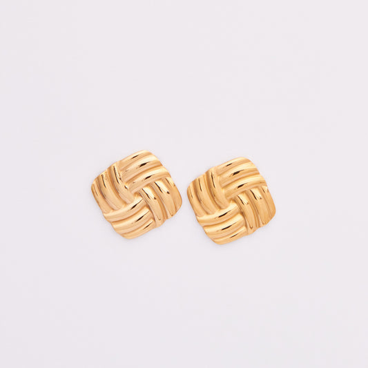 Stainless Steel Earrings E382