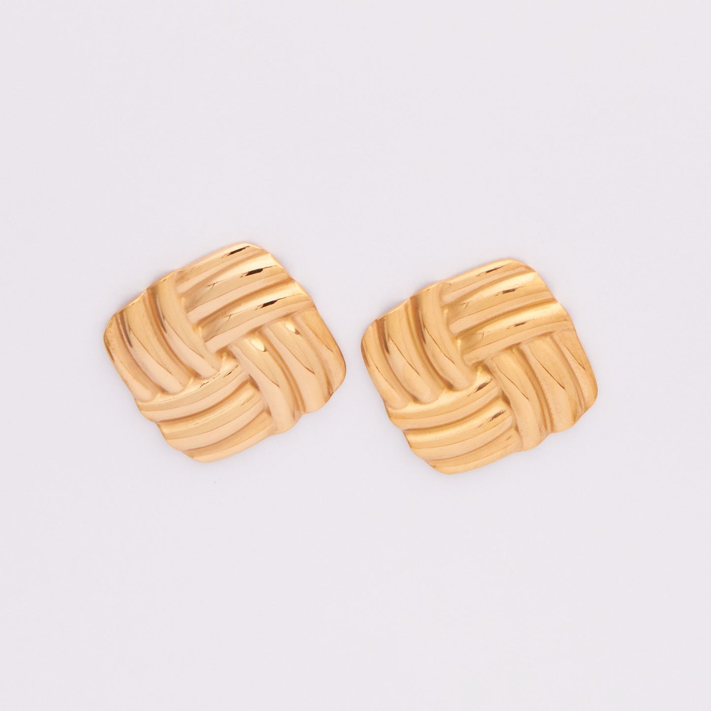 Stainless Steel Earrings E382
