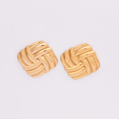 Stainless Steel Earrings E382
