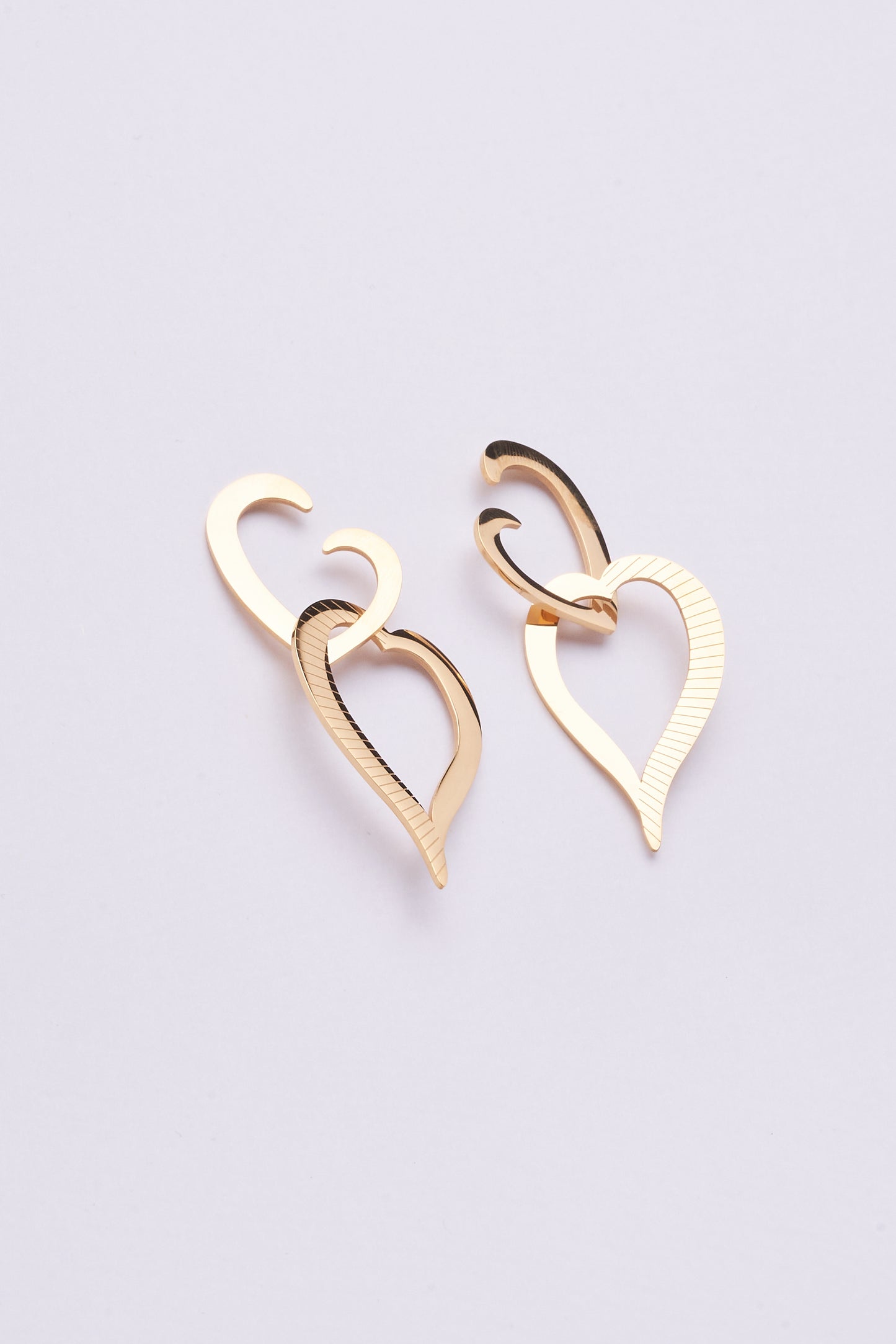 Stainless Steel Earrings 122E1549
