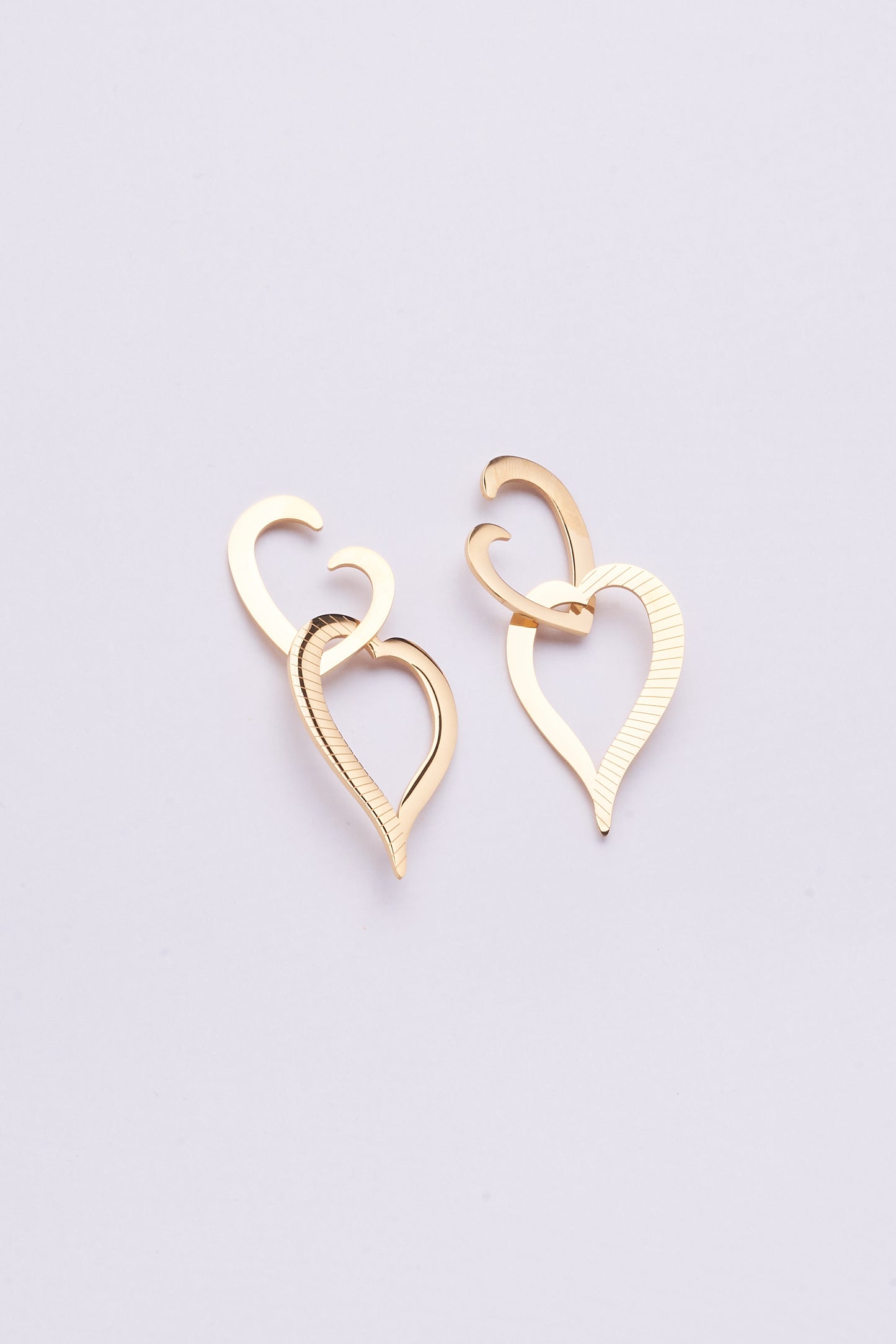 Stainless Steel Earrings 122E1549