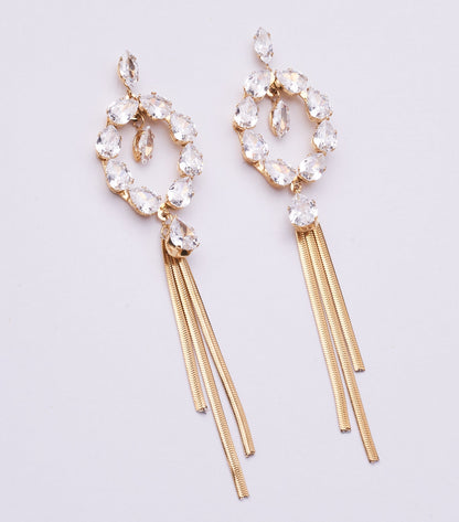 Stainless Steel Earrings 123E2278