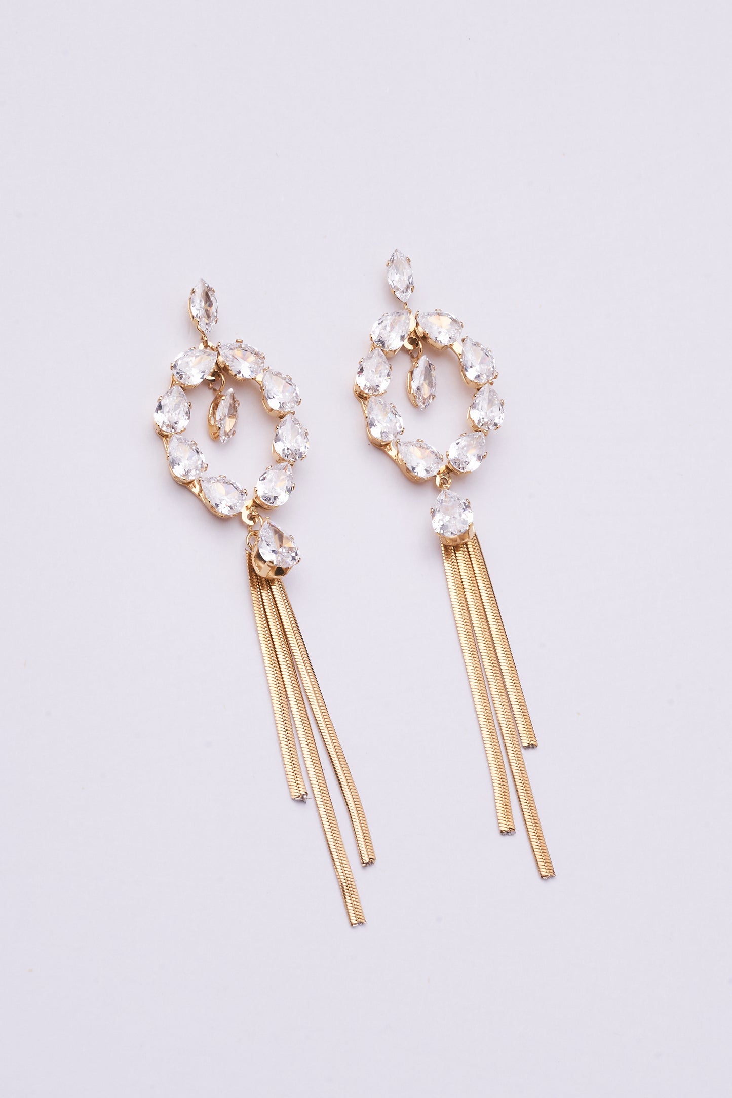 Stainless Steel Earrings 123E2278