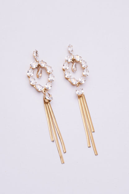 Stainless Steel Earrings 123E2278