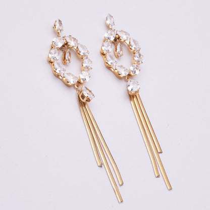 Stainless Steel Earrings 123E2278