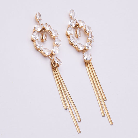 Stainless Steel Earrings 123E2278