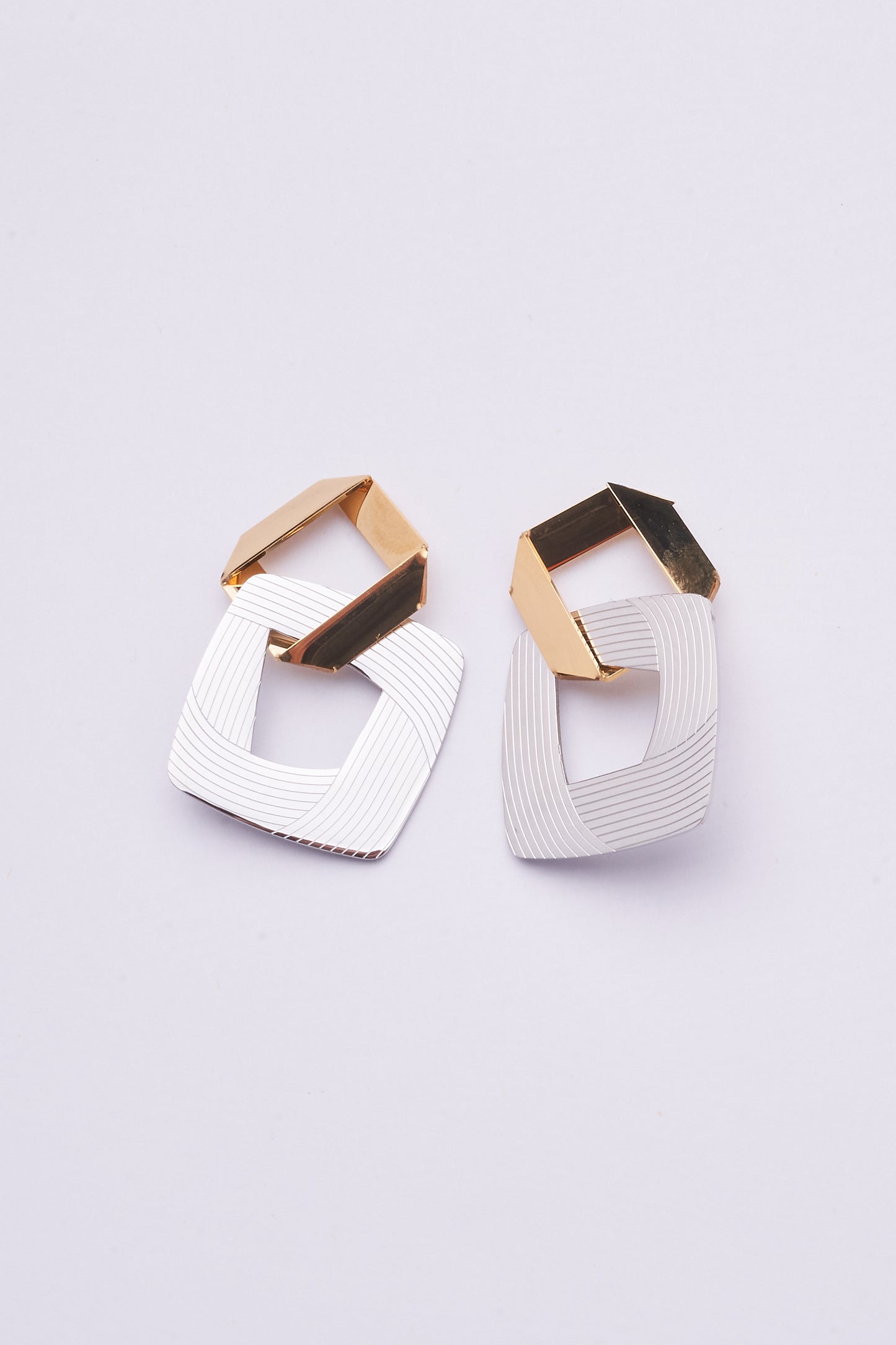 Stainless Steel Earrings 122E1550