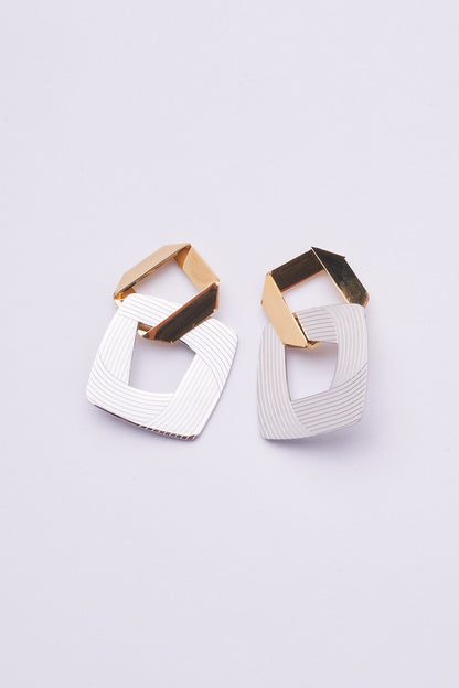Stainless Steel Earrings 122E1550