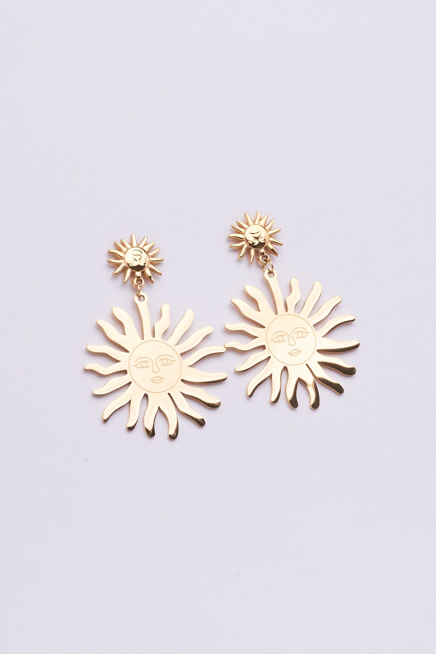 Stainless Steel Earrings 122E1554
