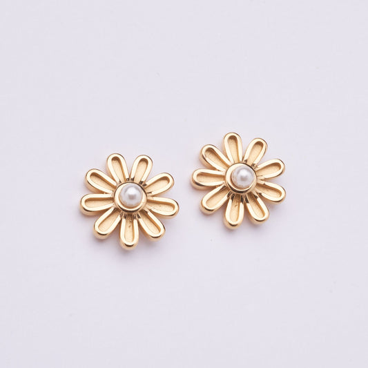 Stainless Steel Earring 162E1004