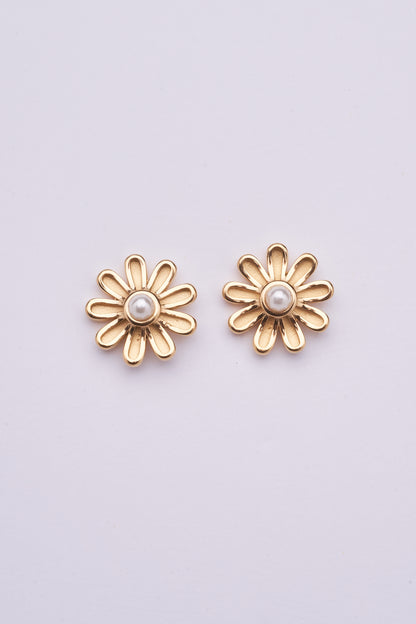 Stainless Steel Earring 162E1004