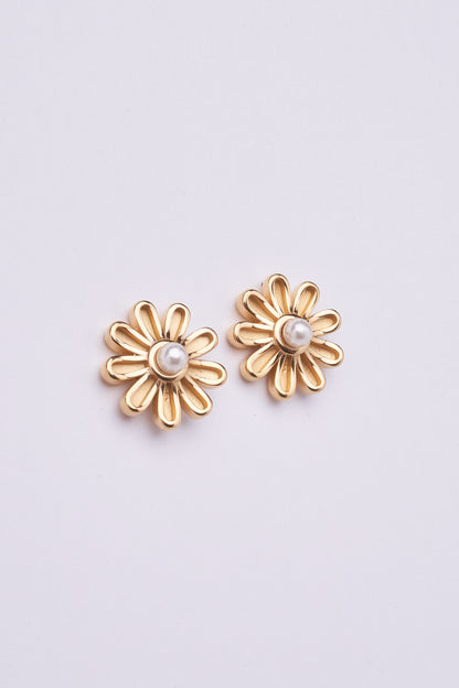 Stainless Steel Earring 162E1004