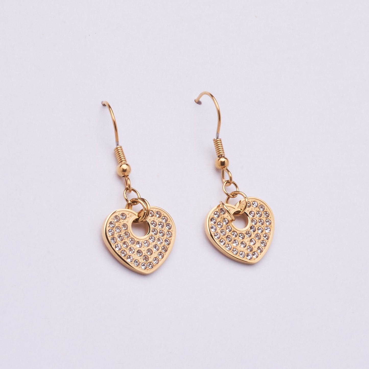 Stainless Steel Earring 122E1511