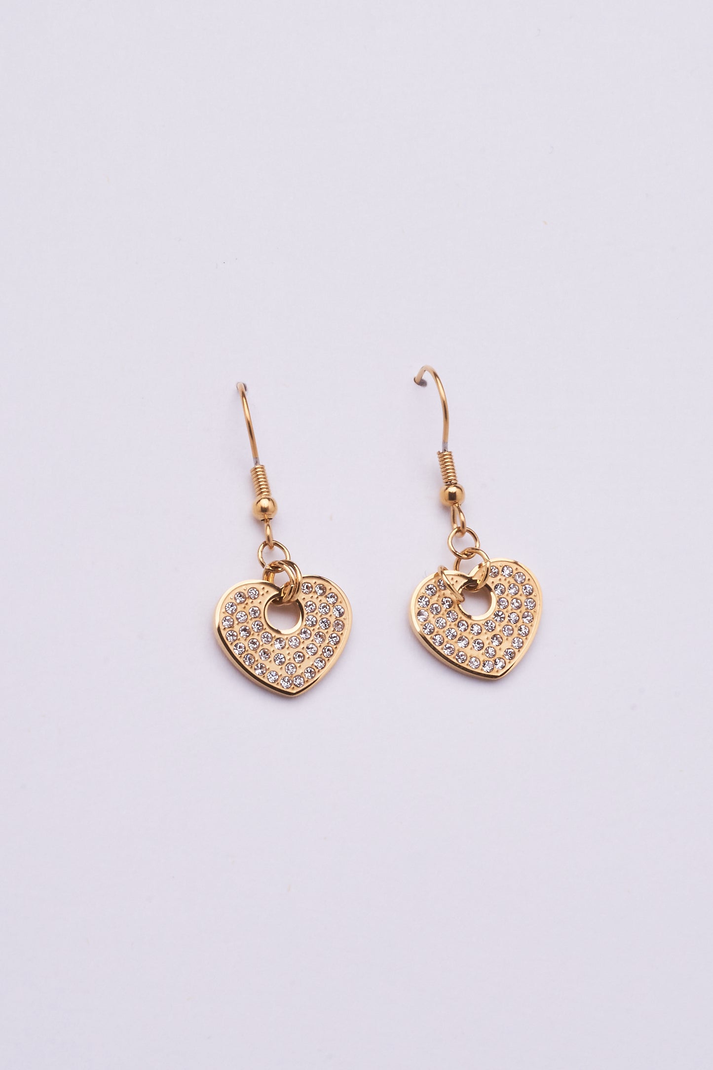 Stainless Steel Earring 122E1511