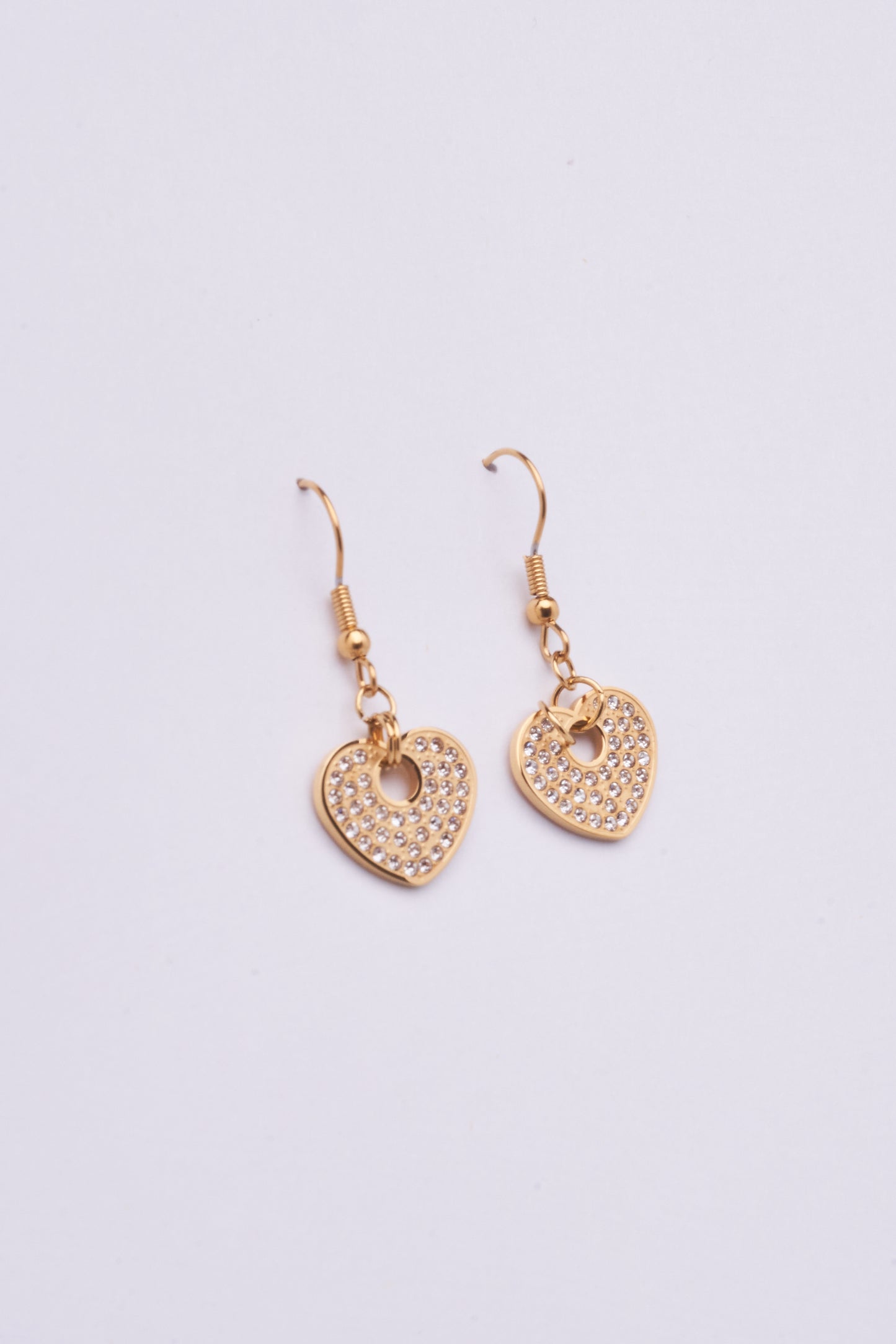 Stainless Steel Earring 122E1511