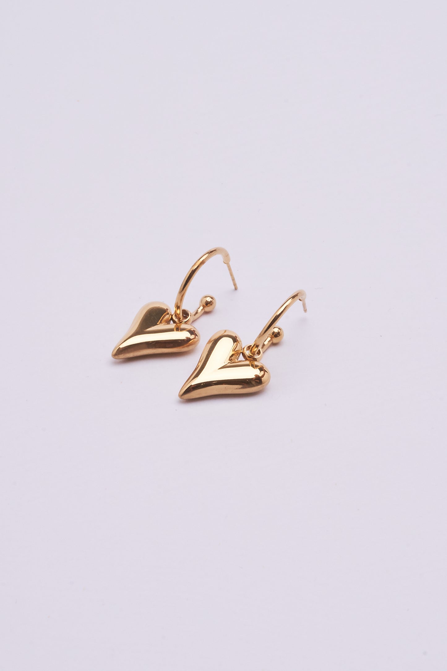 Stainless Steel Earring 122E1513