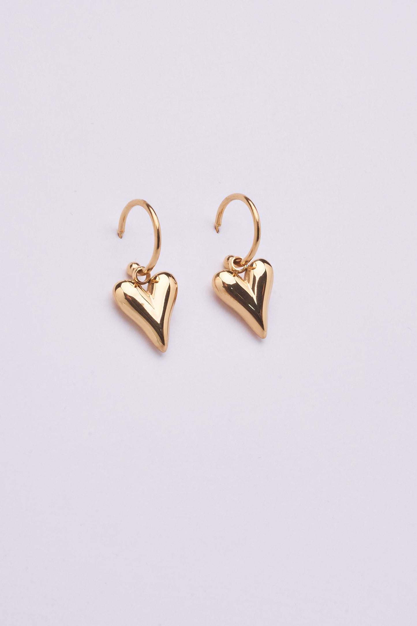 Stainless Steel Earring 122E1513
