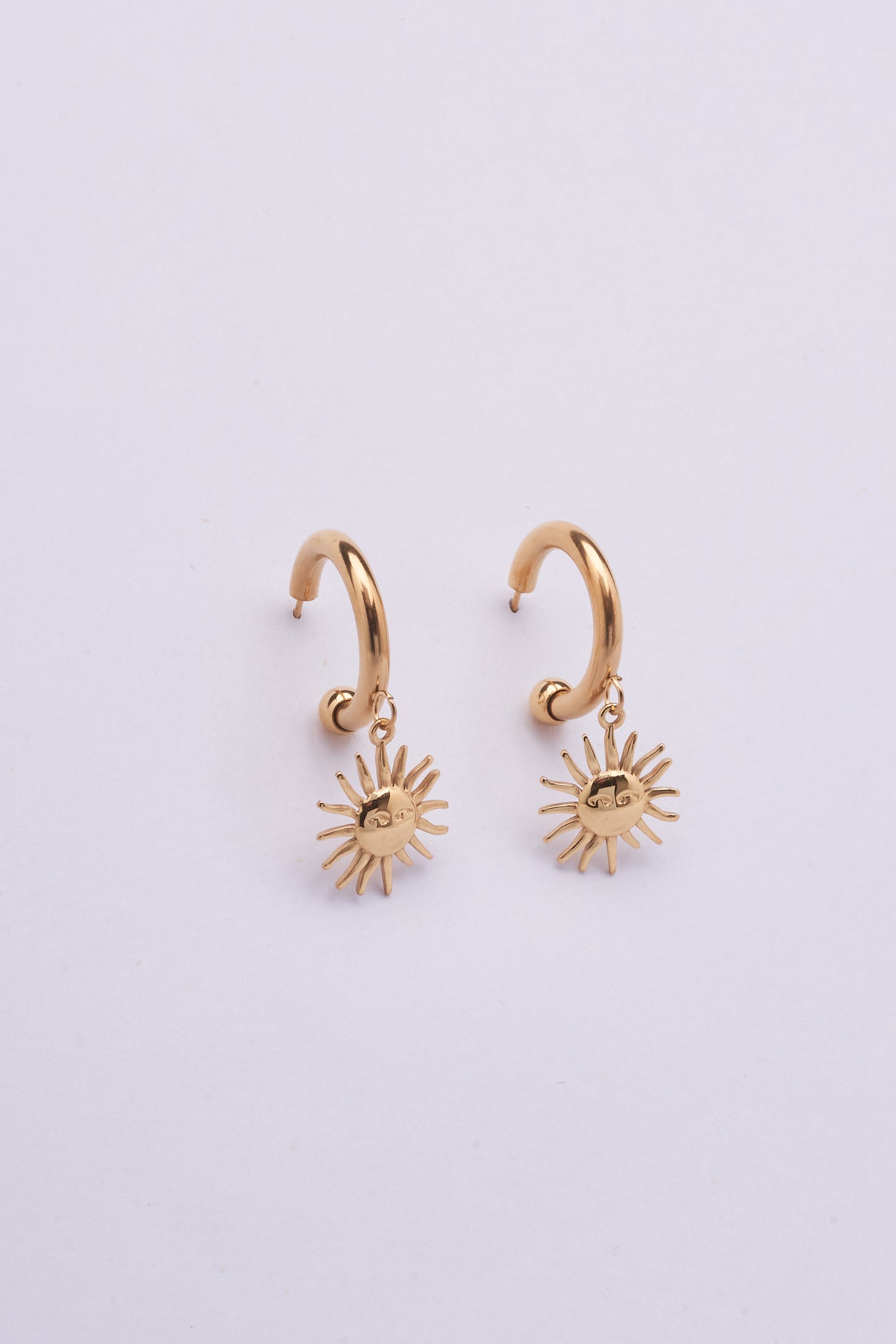 Stainless Steel Earring  122E1505