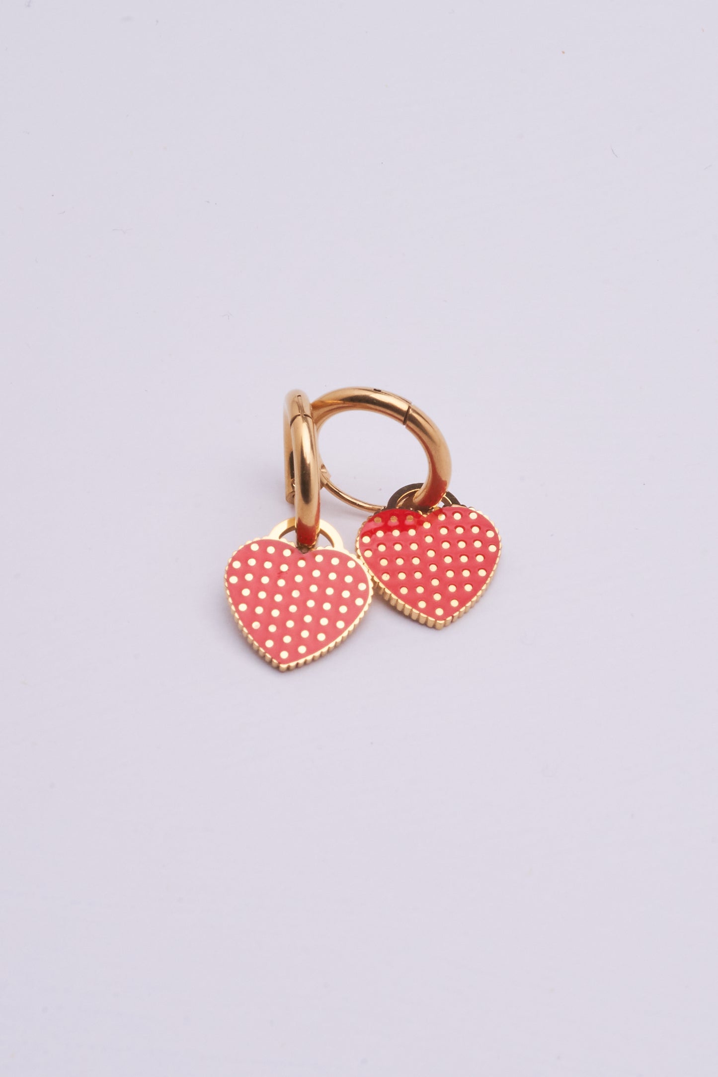 Stainless Steel Earrings 122E1556