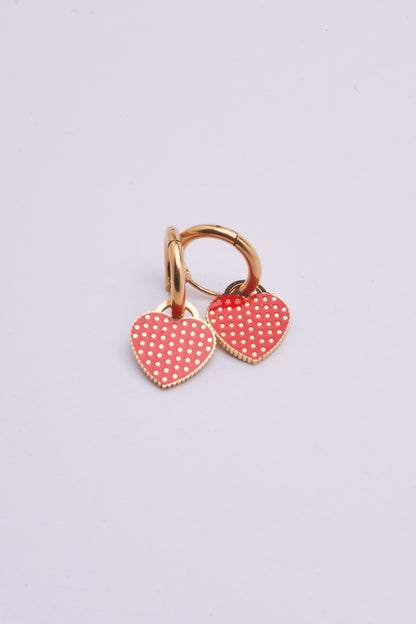 Stainless Steel Earrings 122E1556