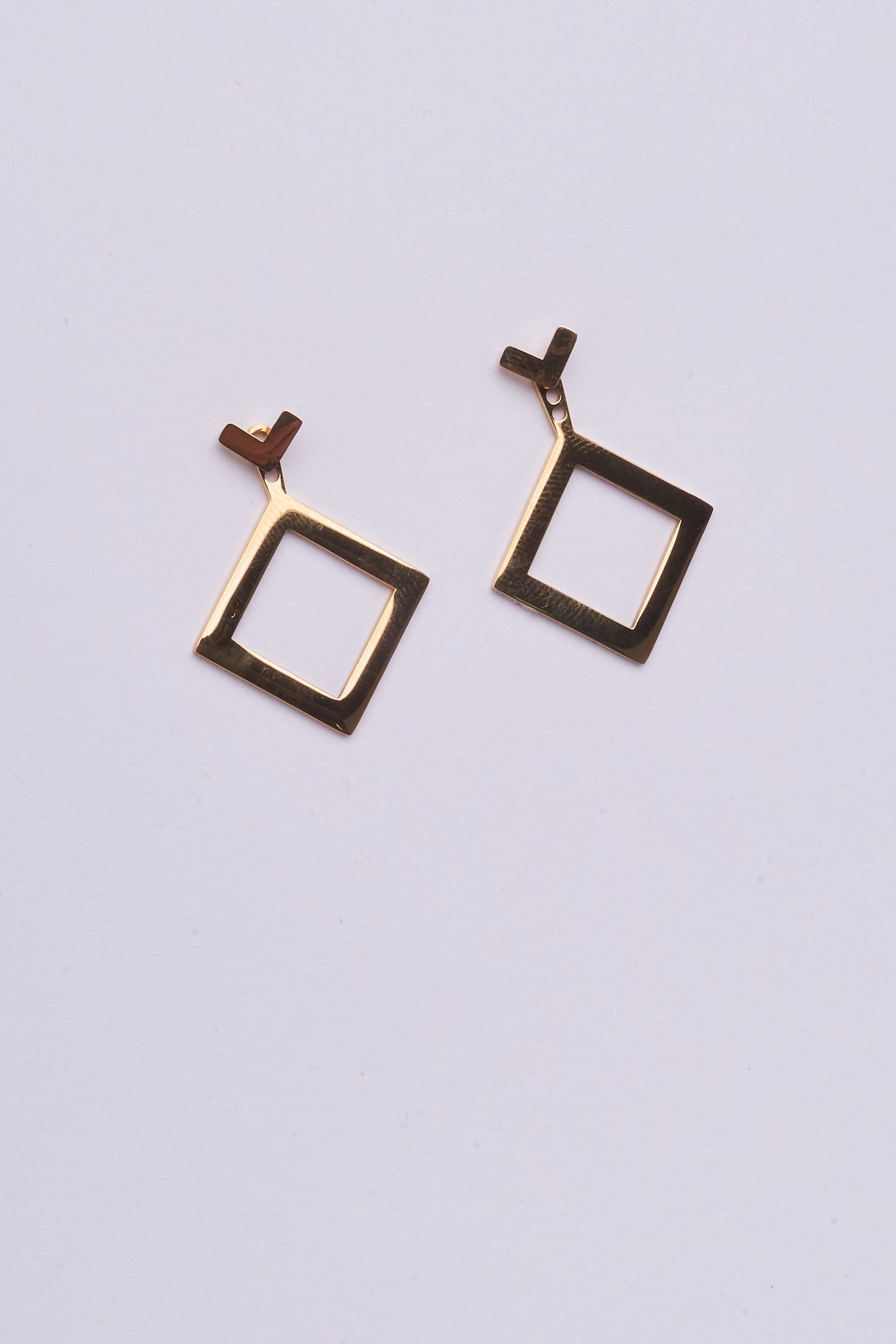 Stainless Steel Earring 122E1486