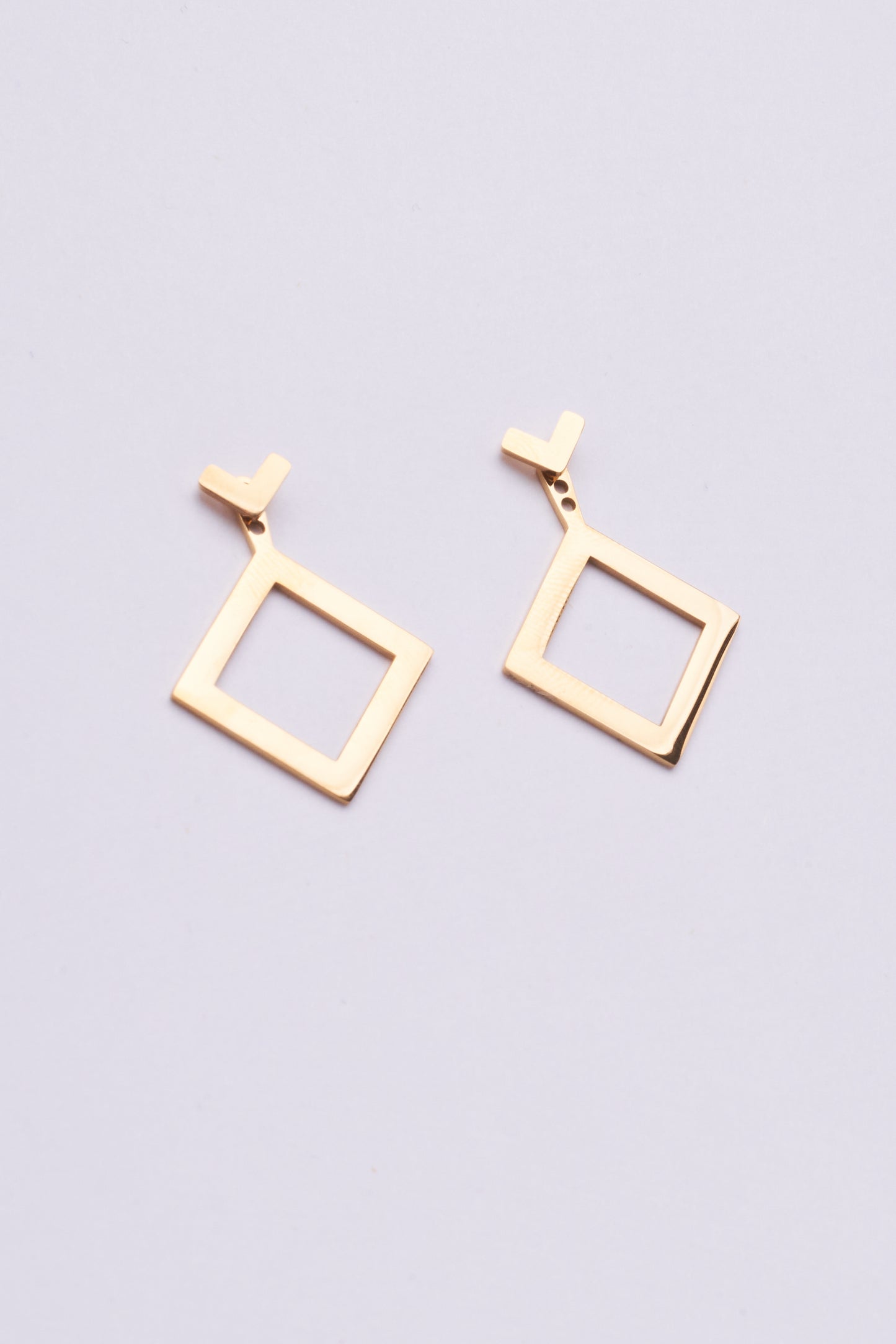 Stainless Steel Earring 122E1486