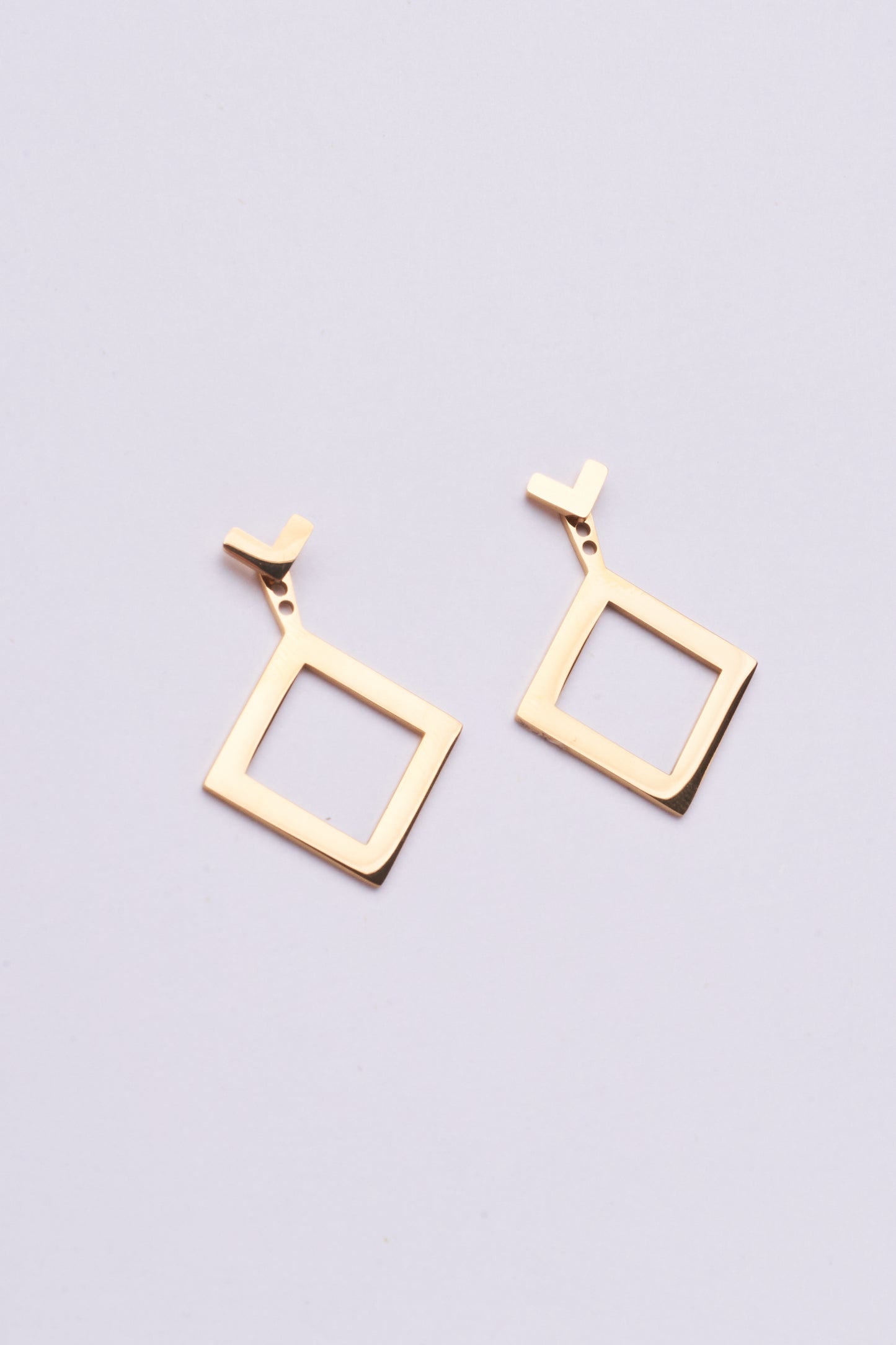 Stainless Steel Earring 122E1486
