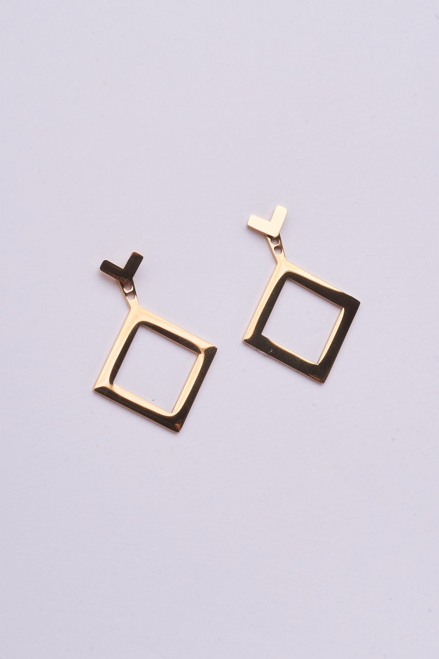 Stainless Steel Earring 122E1486