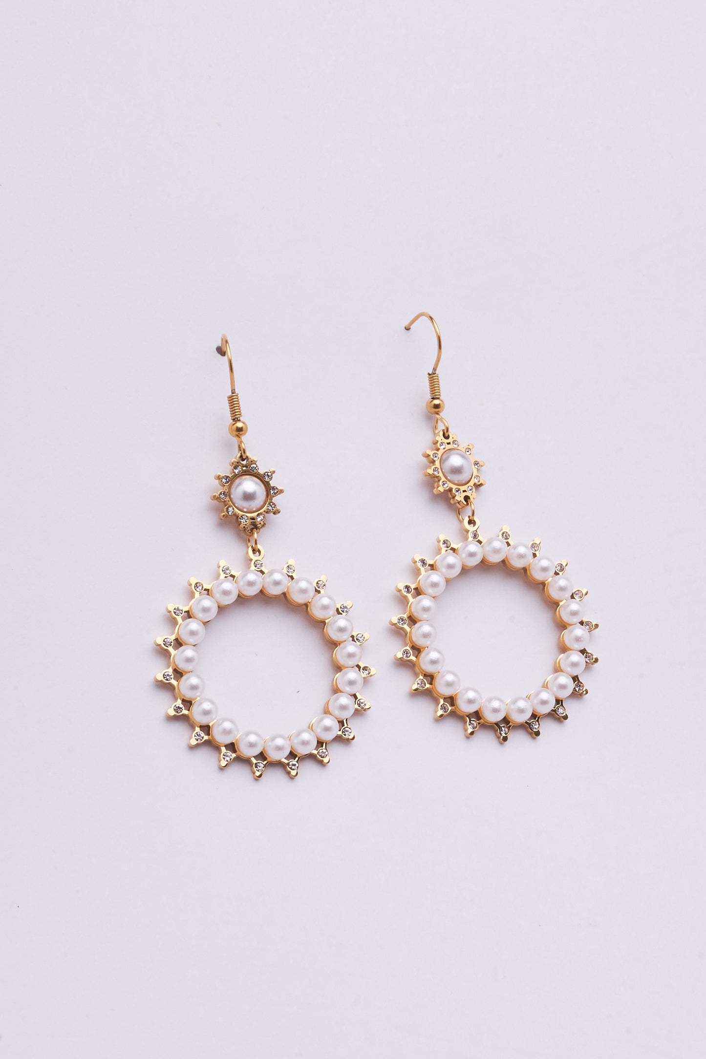 Stainless Steel Earring 122E1519