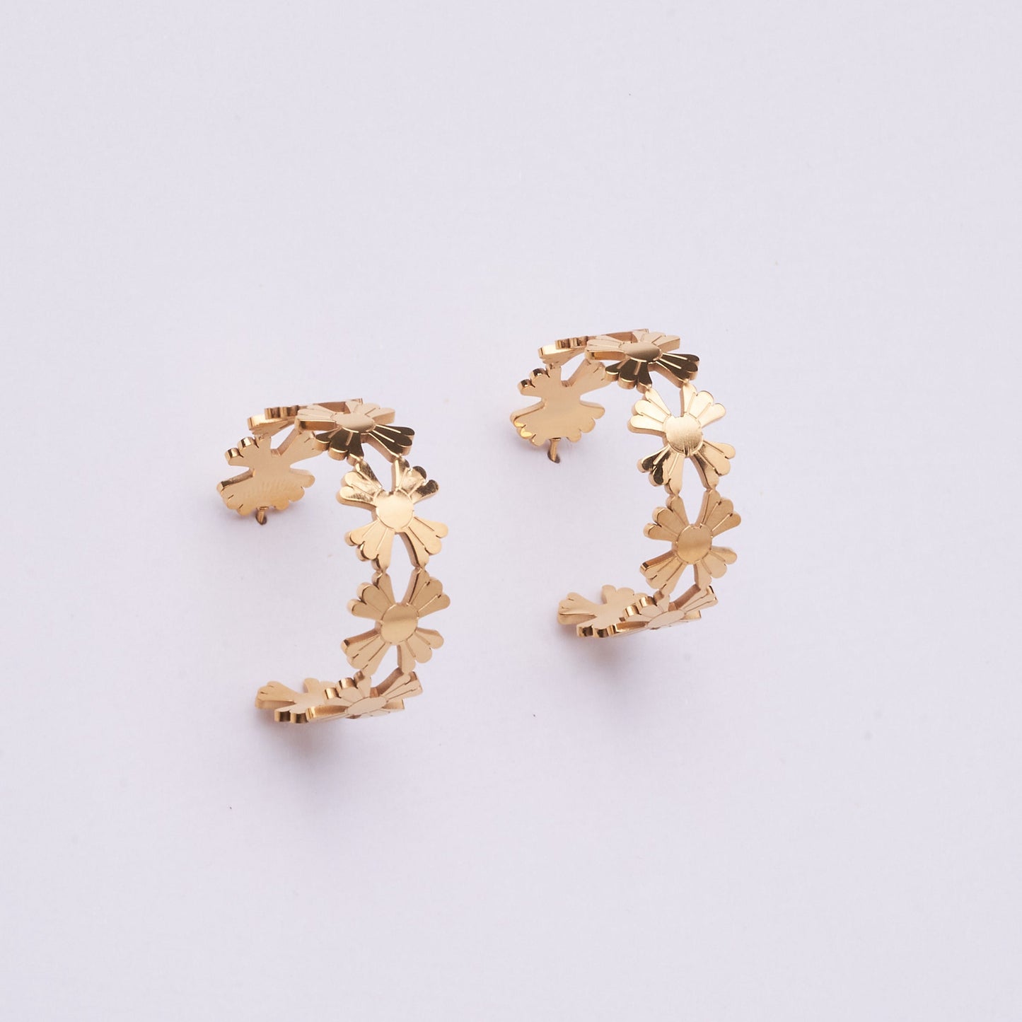 Stainless Steel Earring 122E1498