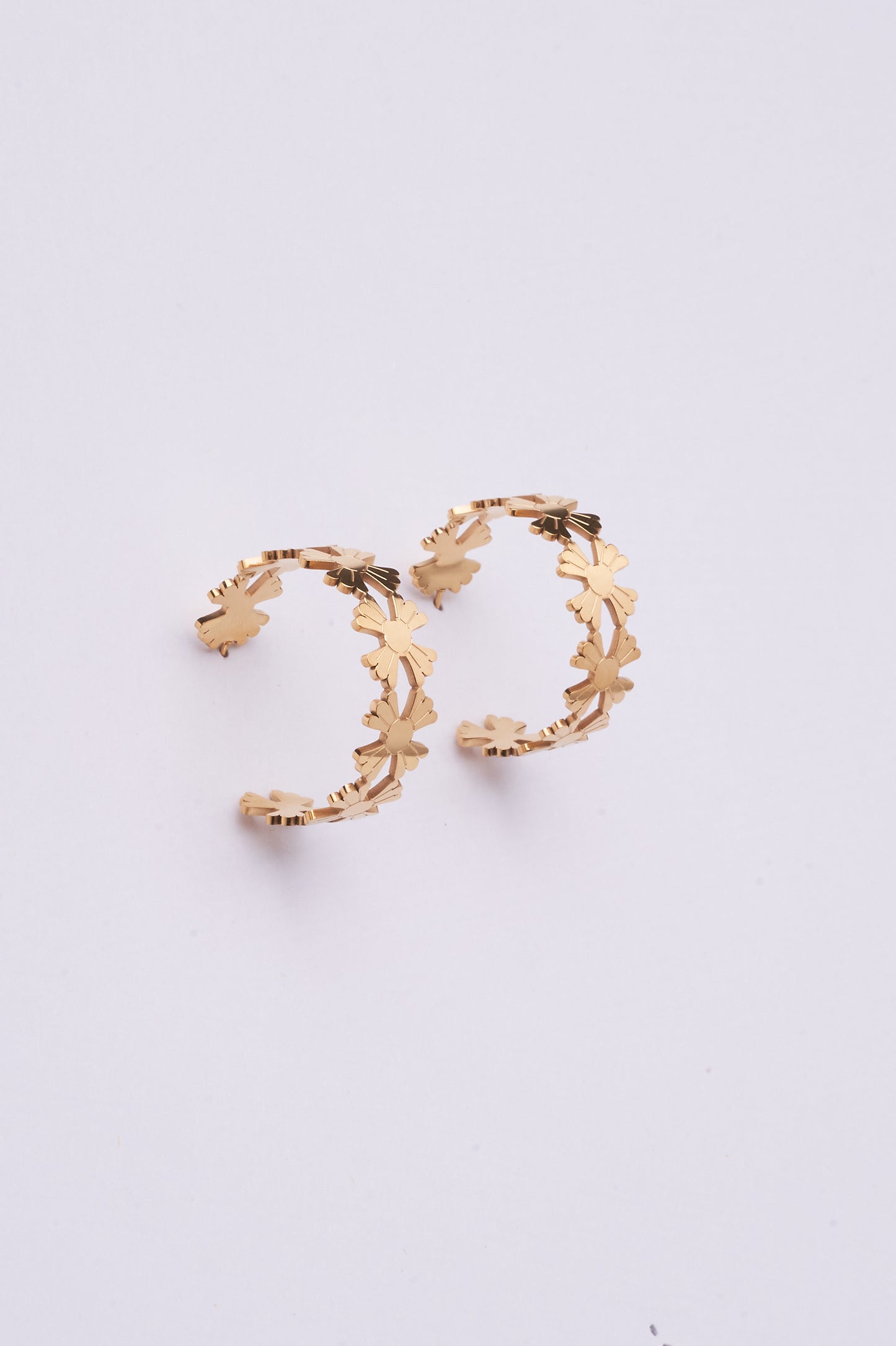 Stainless Steel Earring 122E1498