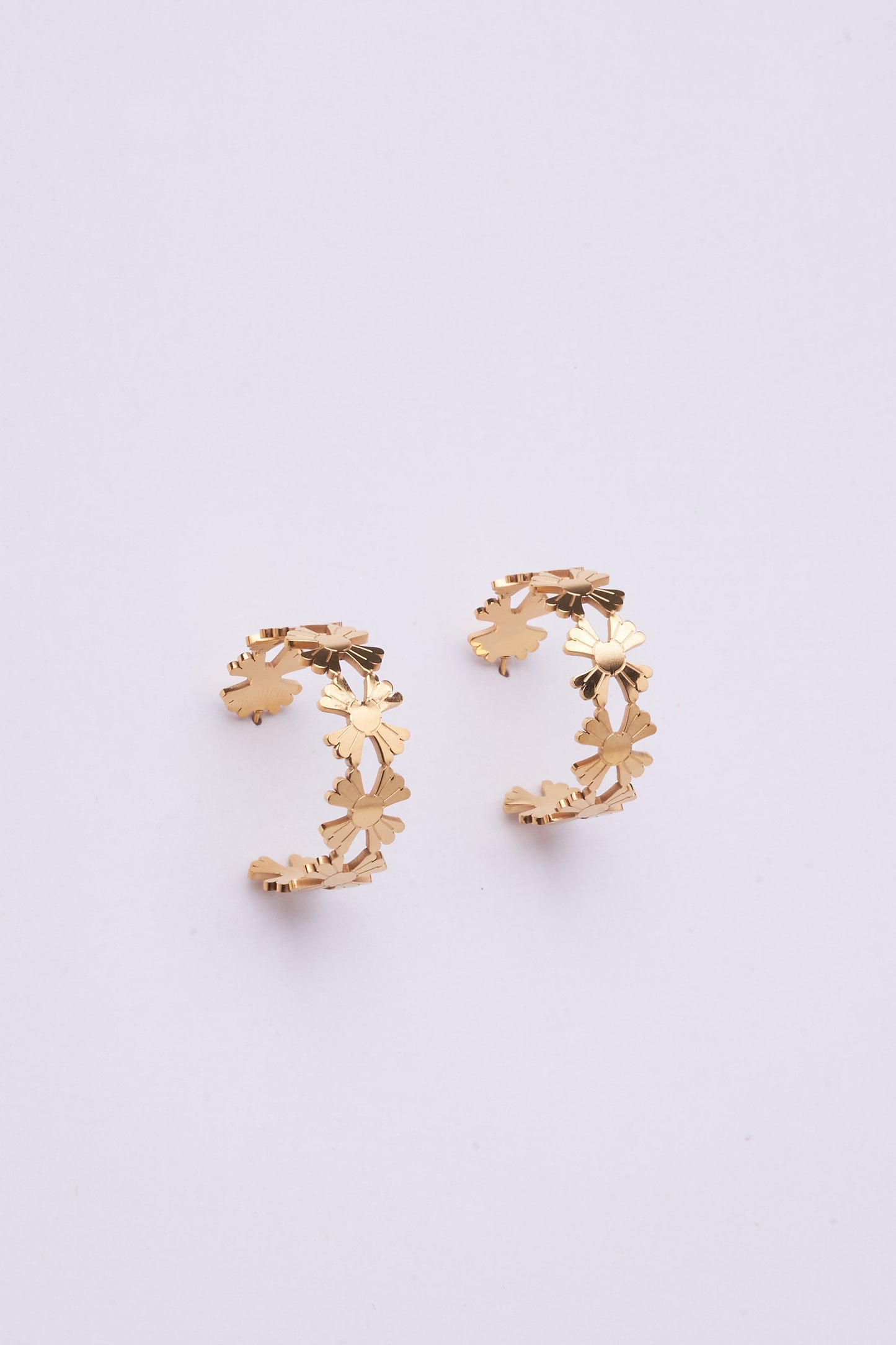 Stainless Steel Earring 122E1498