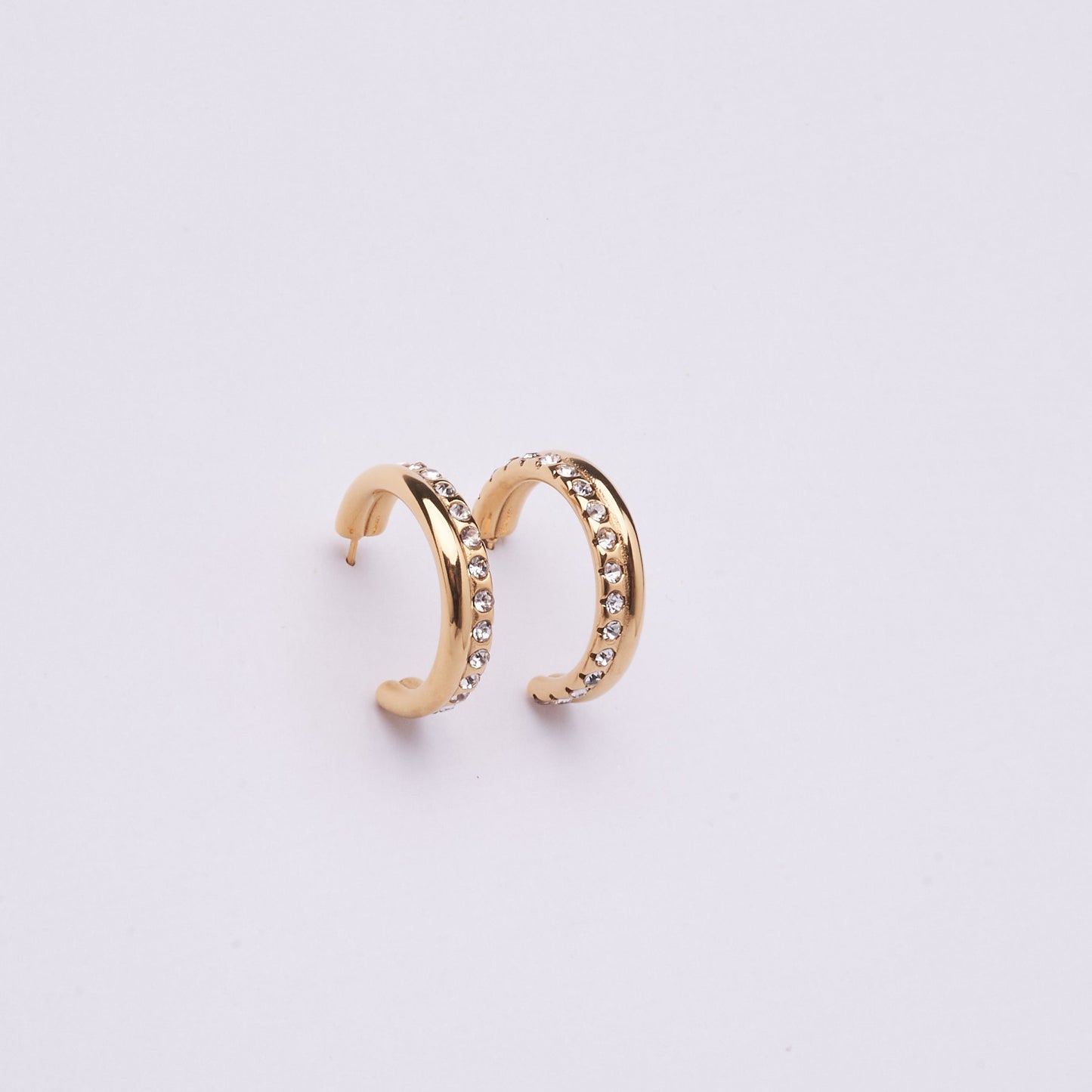Stainless Steel Earring 123E2262