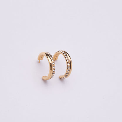 Stainless Steel Earring 123E2262