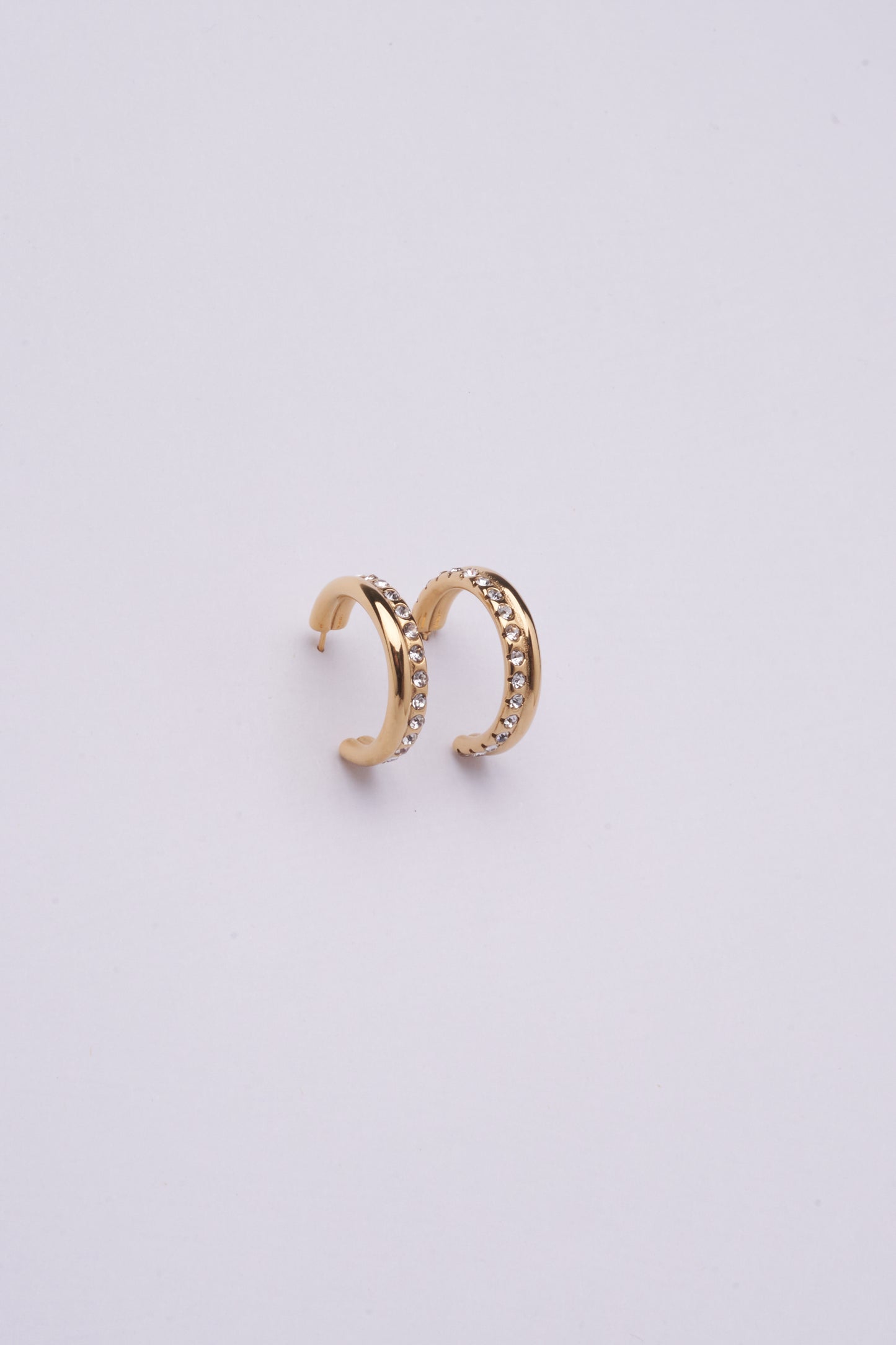 Stainless Steel Earring 123E2262
