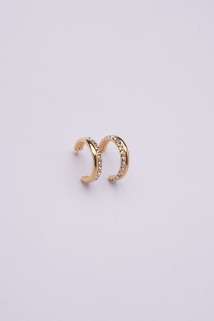Stainless Steel Earring 123E2262