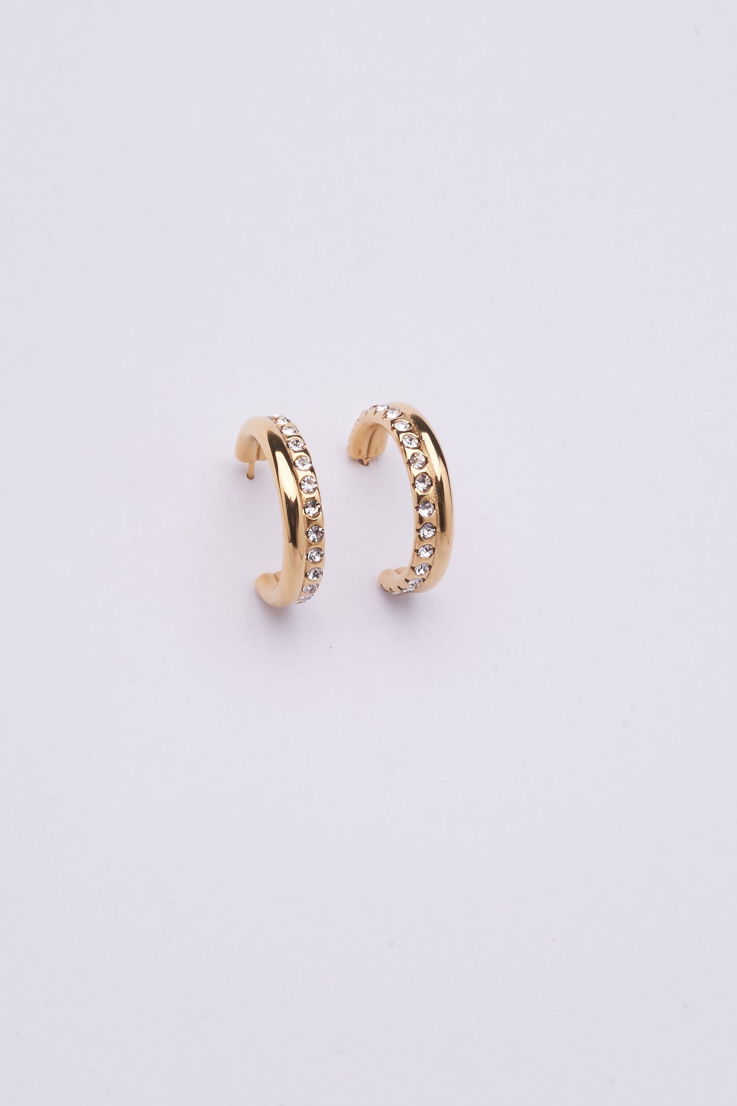 Stainless Steel Earring 123E2262