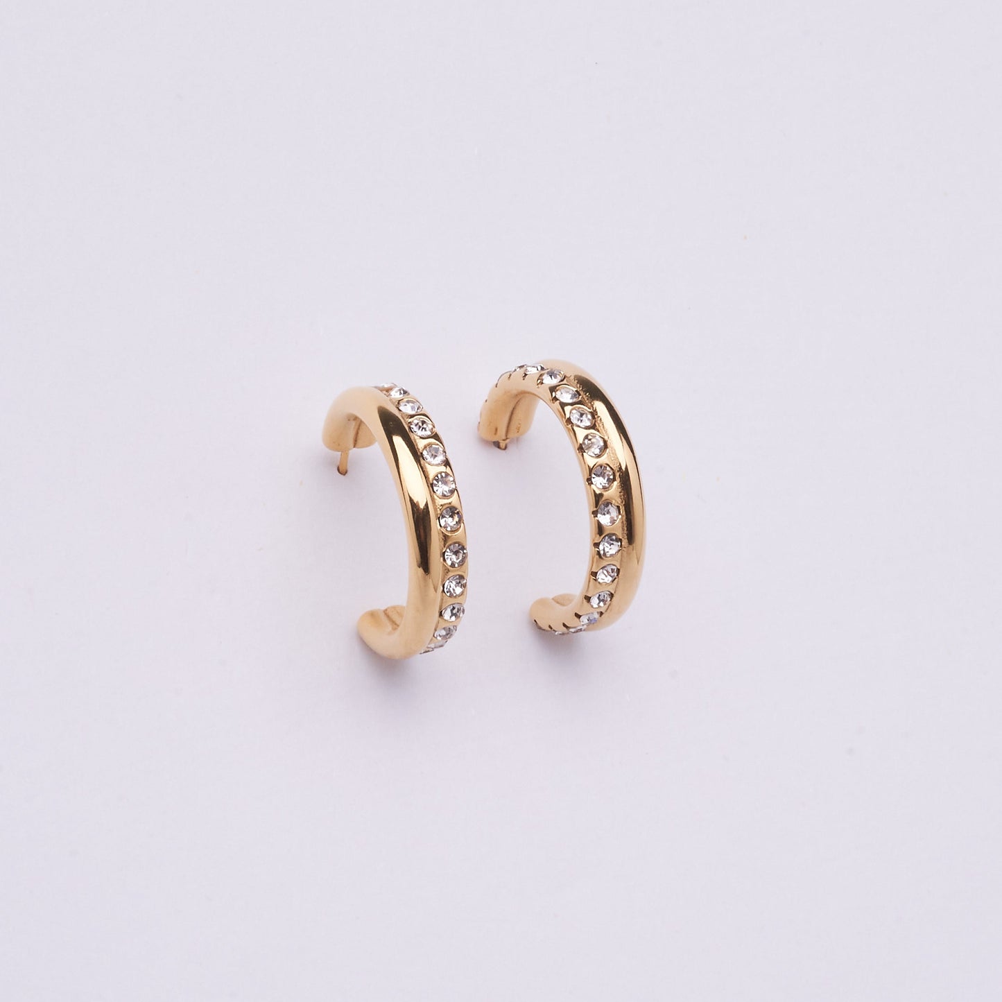 Stainless Steel Earring 123E2262