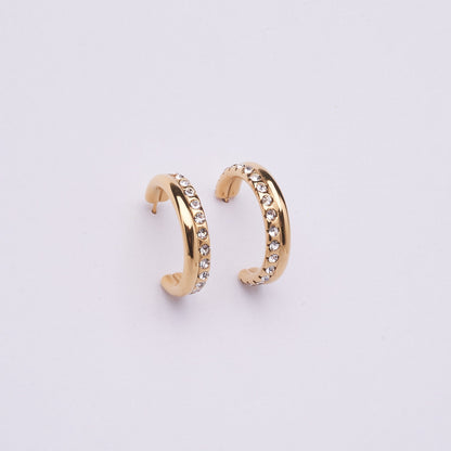 Stainless Steel Earring 123E2262