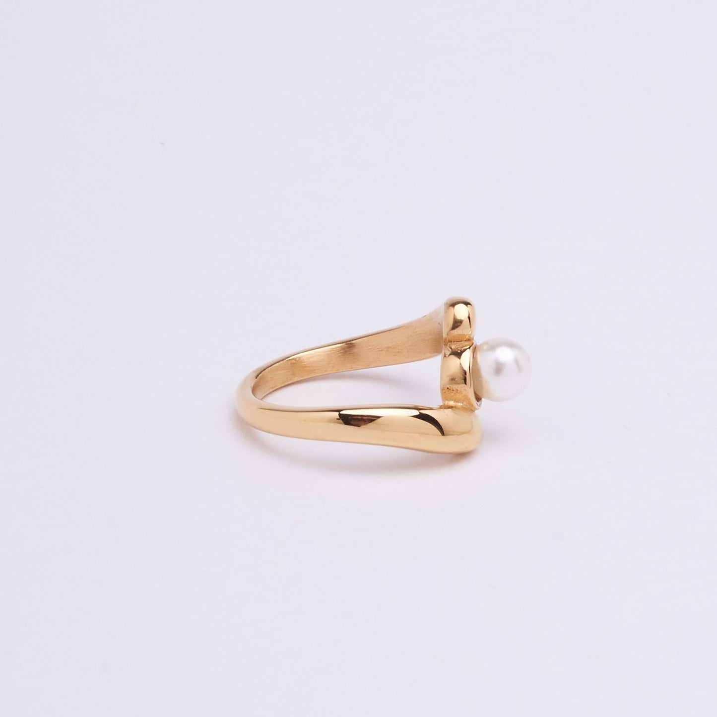 Stainless Steel Ring 162R2306